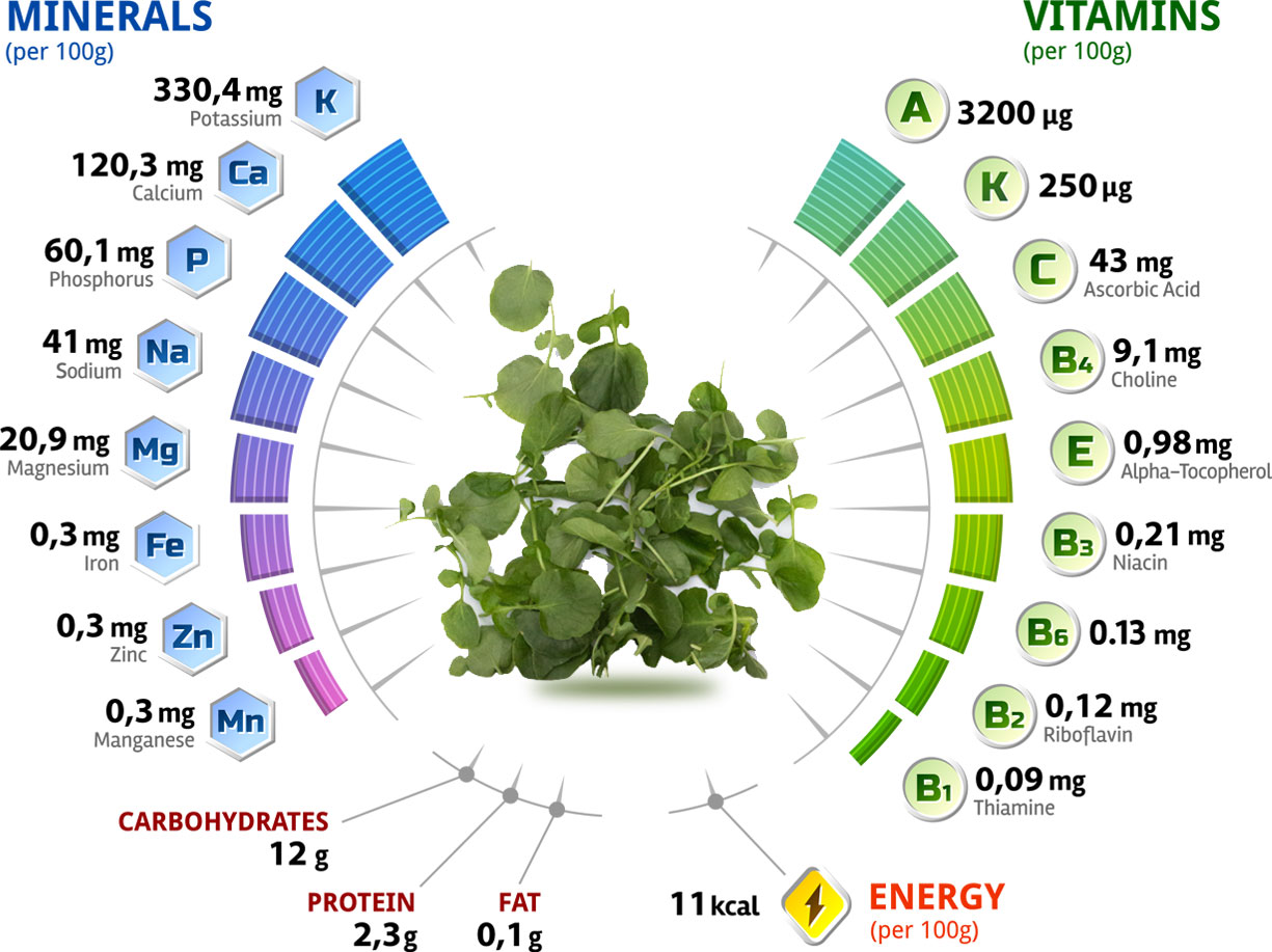 dashboard-pg-nutrition